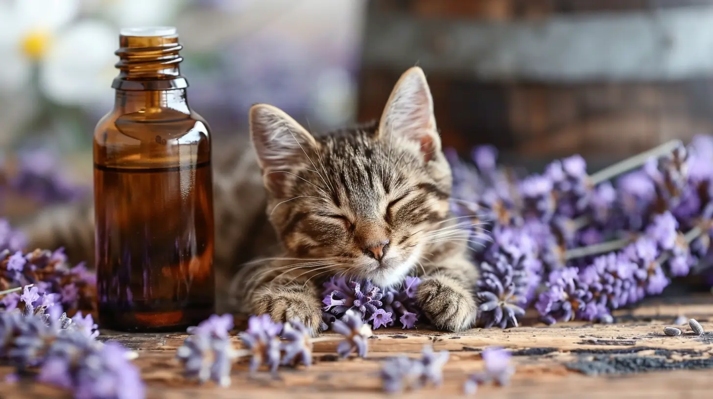 Essential Oils for Pets: A Holistic Approach to Animal Care