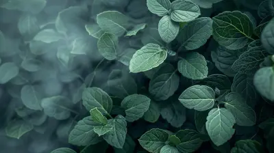 Eucalyptus Oil Breathing Better From The Inside Out