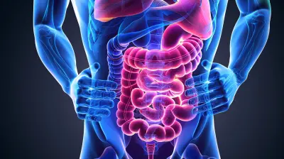 How Fatty Foods Affect Your Digestive System