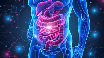 The Connection Between Sleep And Digestive Health