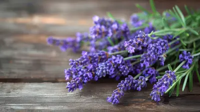 The Holistic Approach of Aromatherapy in Pain Management