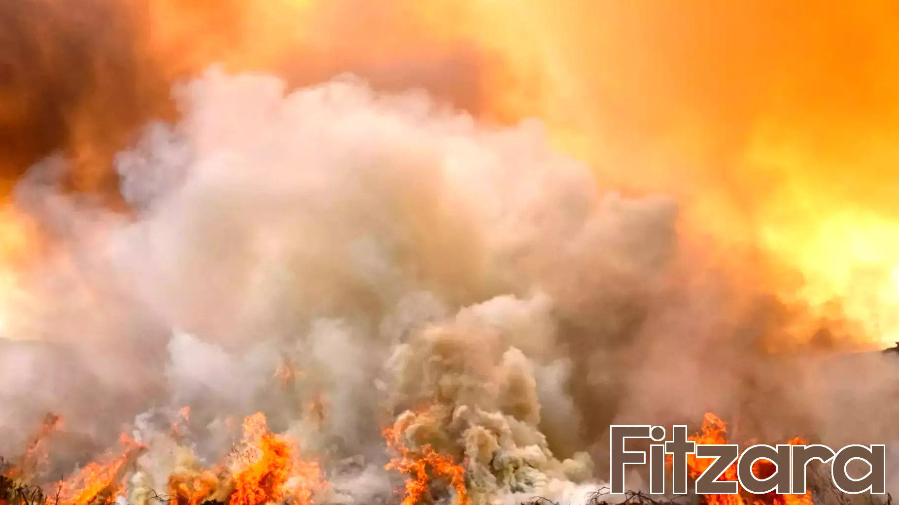 Experts Call for Urgent Action on Climate and Air Pollution Ahead of COP 31