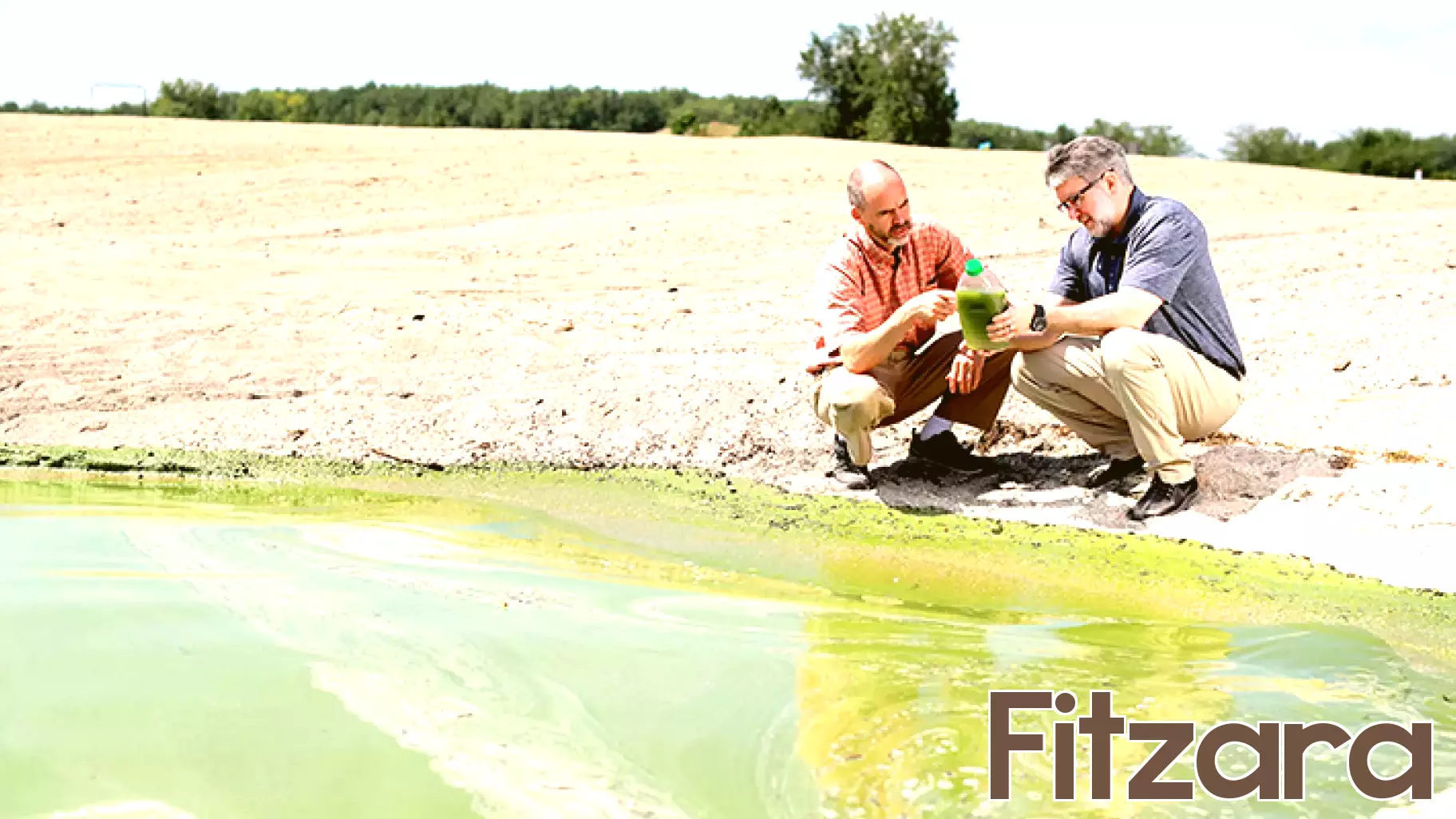 Exploring the Health Impacts of Harmful Algal Blooms: A Free Lecture at UToledo