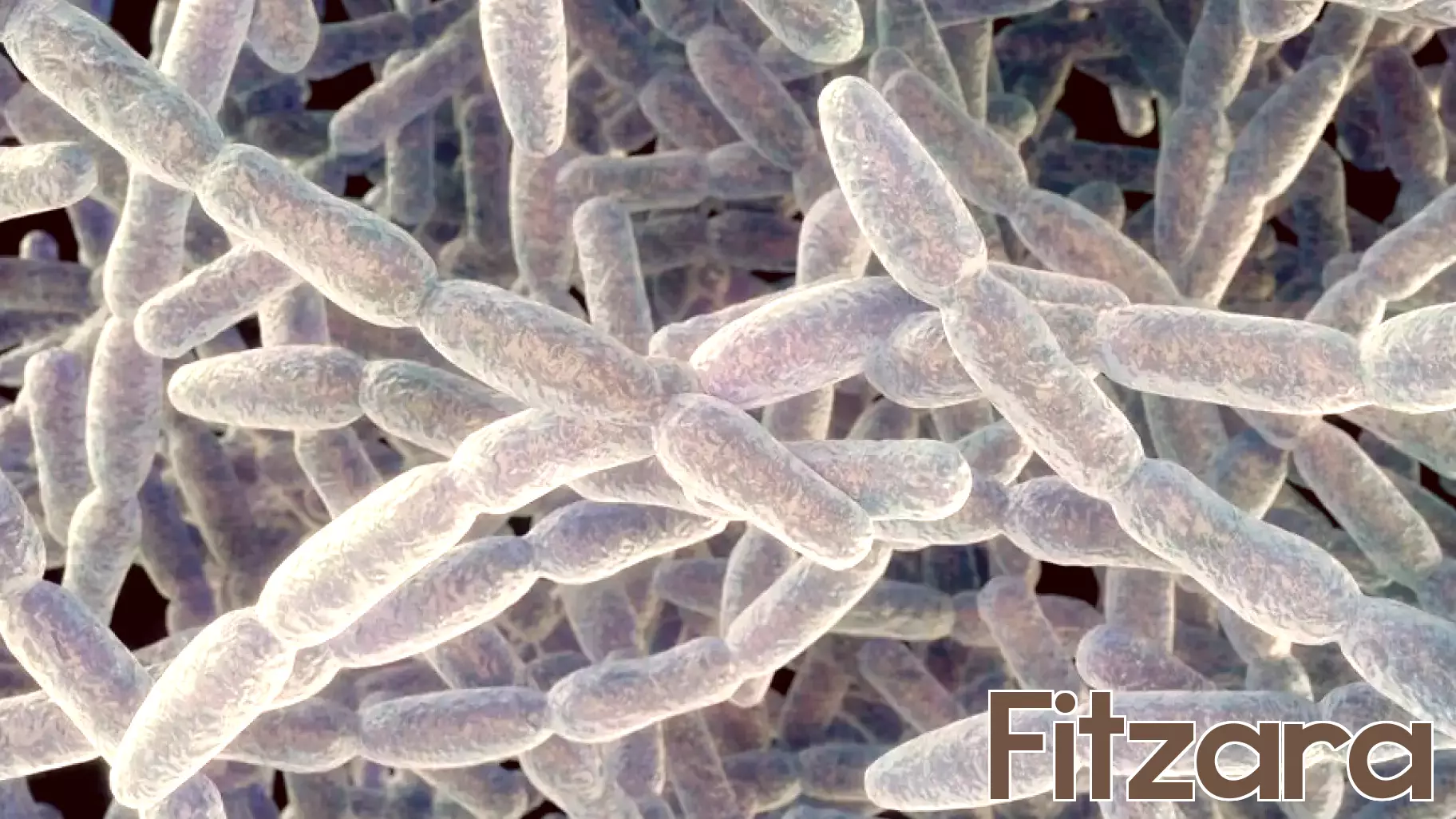 Fifth Legionnaires’ death confirmed as dozens of NYC buildings found with live bacteria