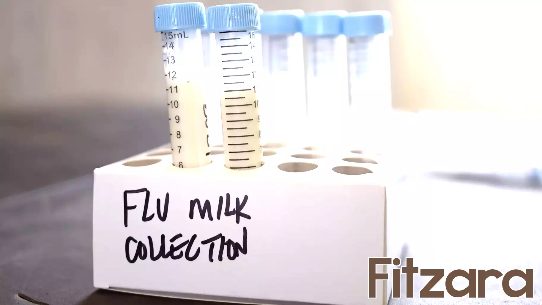 First Severe Bird Flu Case Reported in the U.S.: What It Means for Public Health