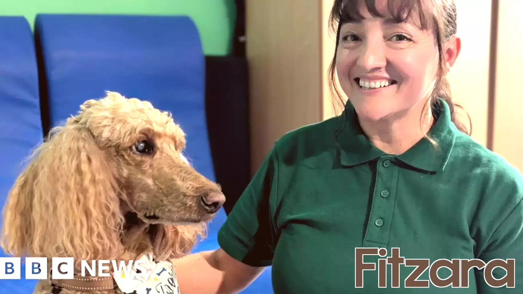 London NHS trust rolls out animal therapy for mental health