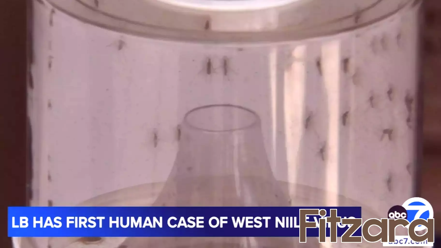 Long Beach reports first West Nile case