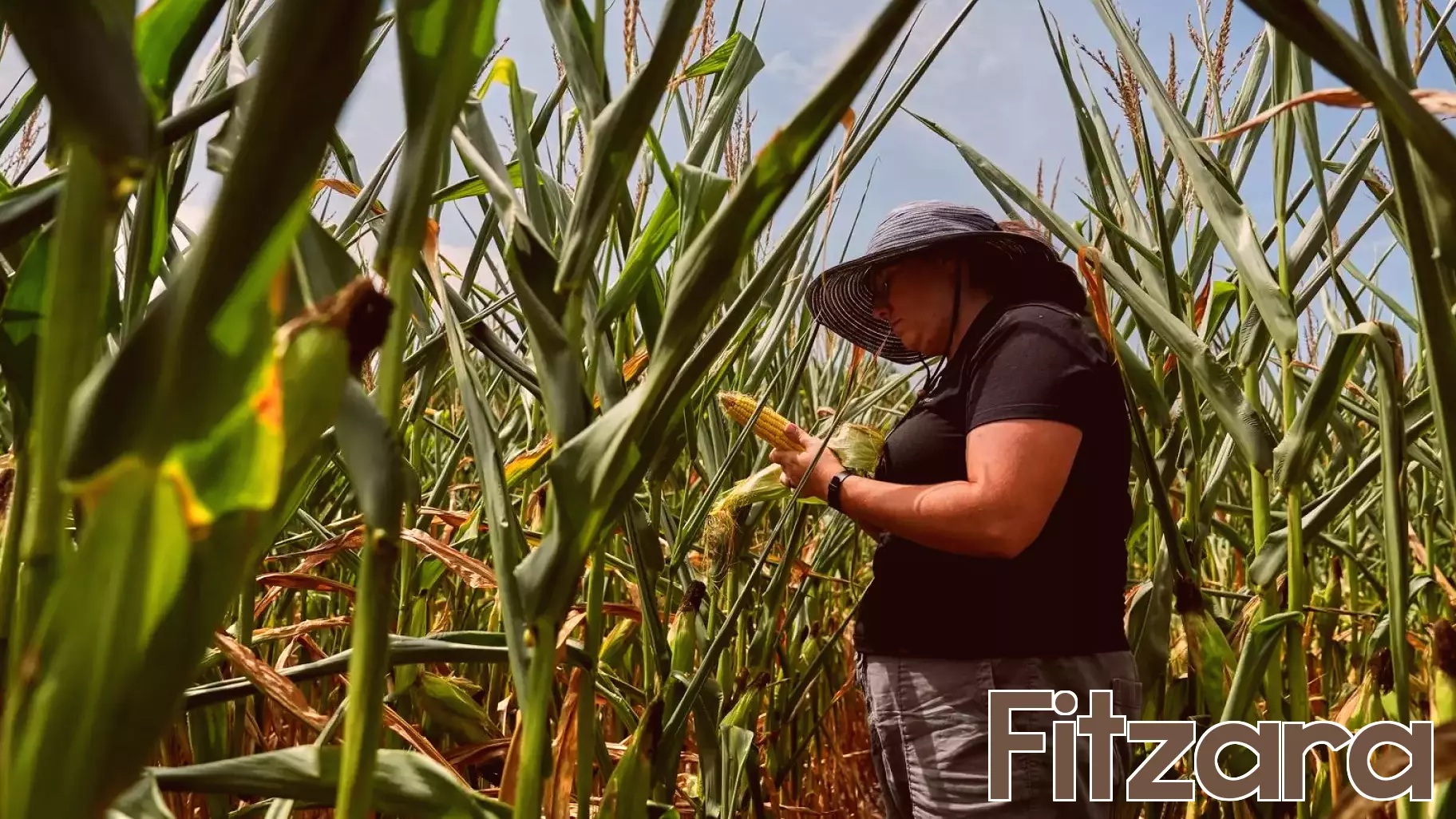 New Pesticide Approval Raises Concerns Over PFAS Contamination