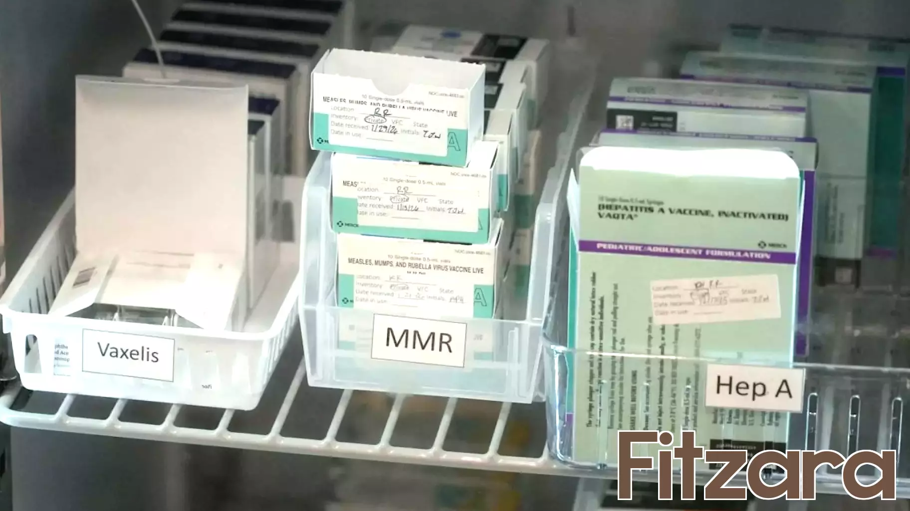 New York State Introduces Measles Tracking Tool as Cases Climb
