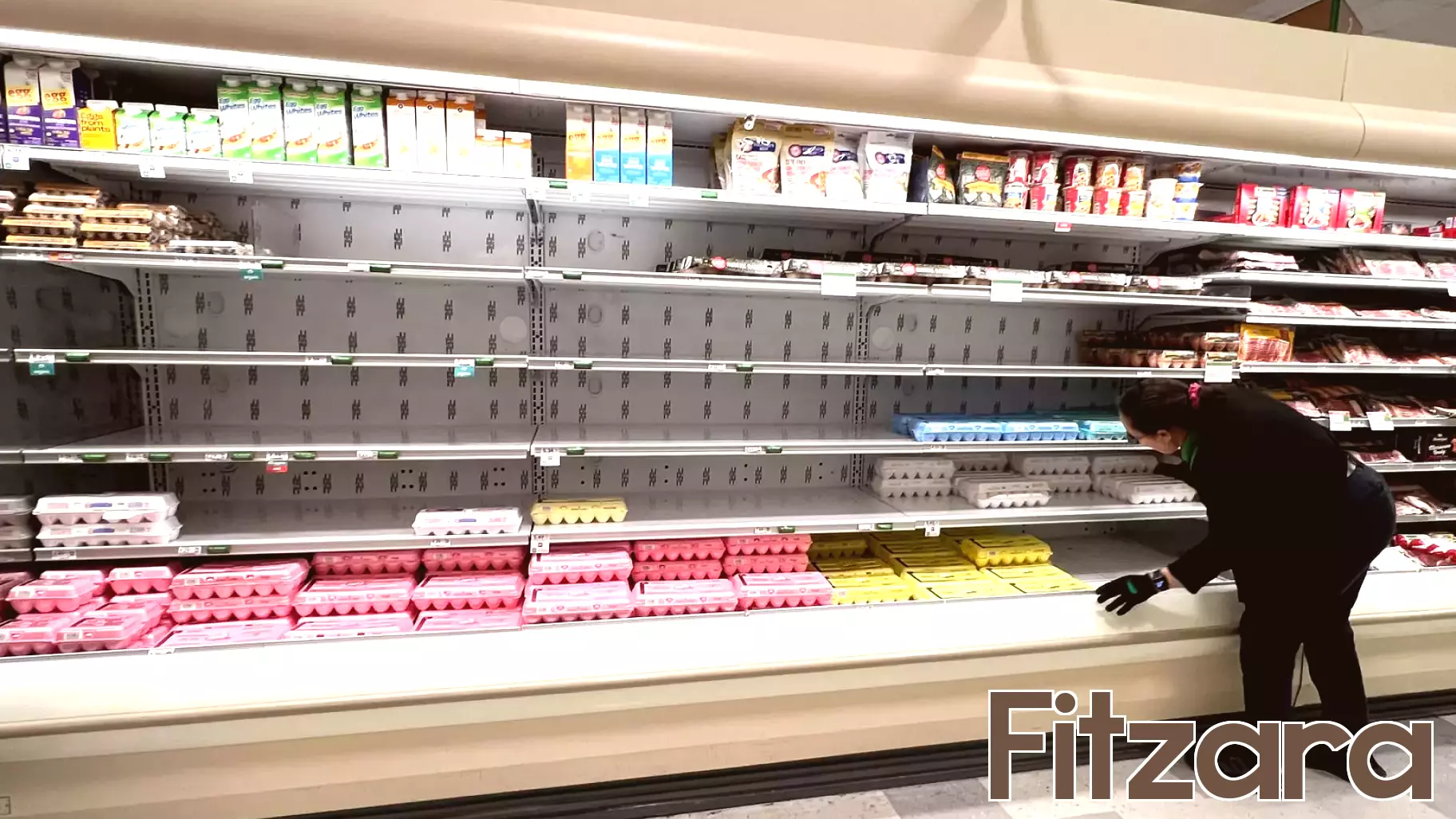 Rising Egg Prices Linked to Avian Flu Mismanagement