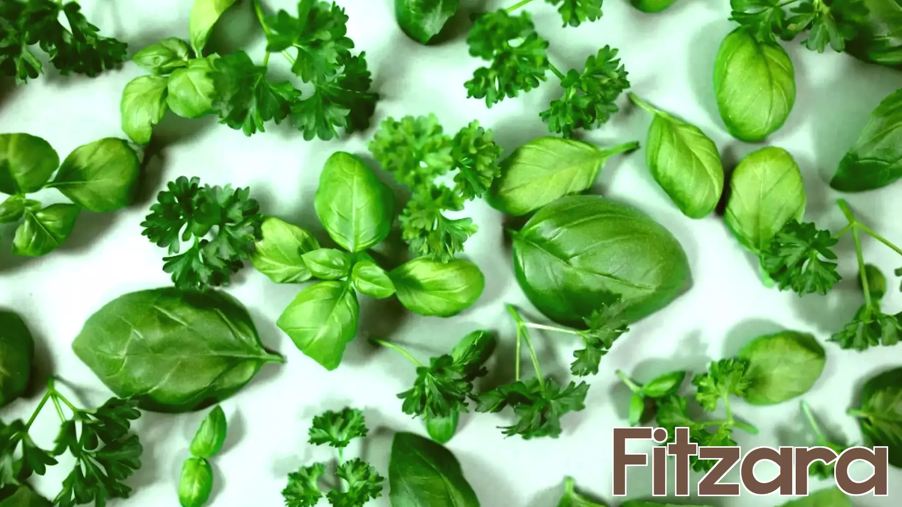 Seven Powerful Herbs Shown to Combat Inflammation and Support Heart Health