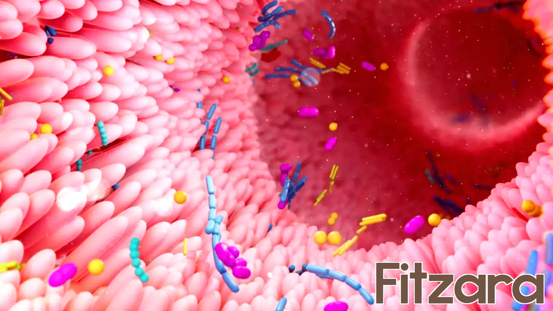 Understanding the Composition of a Healthy Gut Microbiome