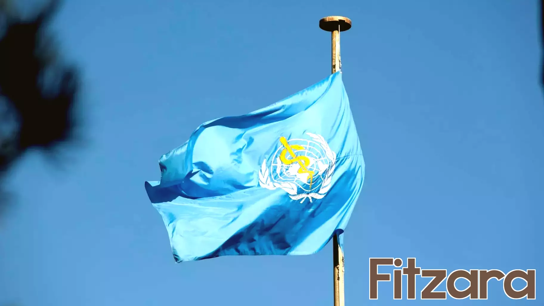 WHO Appoints New Directors Amidst Organizational Restructuring