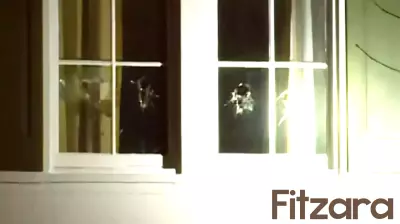 Alleged Vandalism at Politician's Residence Attributed to Mental Health Struggles