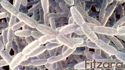 Fifth Legionnaires’ death confirmed as dozens of NYC buildings found with live bacteria
