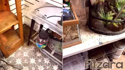 Former Supervisor's Pet Store Cited for Health Code Violations