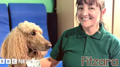 London NHS trust rolls out animal therapy for mental health