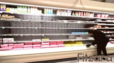 Rising Egg Prices Linked to Avian Flu Mismanagement