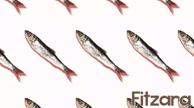 The right seafood choices can help diets meet health and climate goals