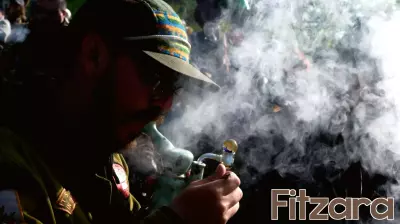 Understanding the Health Risks of Marijuana: What Research Reveals